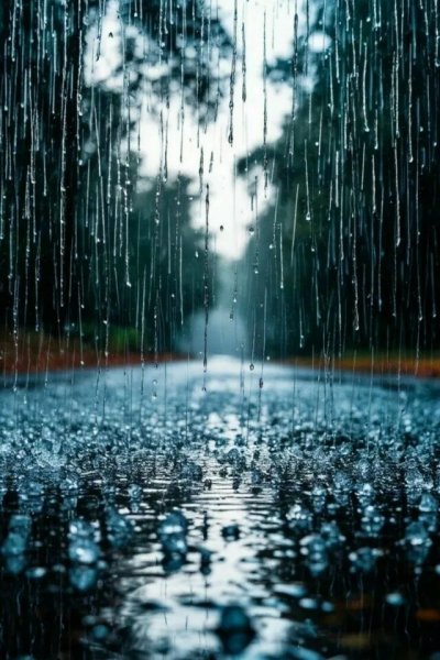 Rain